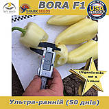 Насіння найранішого перцю,  Бора F1 / Bora F1 (500 насінин ) ТМ Spark Seeds (США), фото 4