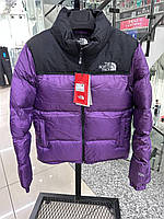 Мужской стильный пуховик "The North Face" (Фиолетовый)