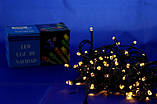Світлодіодна гірлянда Xmas LED 100 WW-3 Теплий білий iC227, фото 2