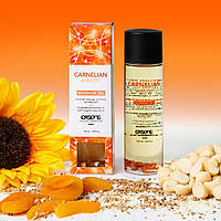 Масажна олія з насінням соняшника та кунжуту Exsens Organic Massage Oil Carnelian Apricot 100 мл AllInOne