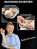 Лоток для зберігання яєць контейнер підставка EGG TRAY LY-382 у холодильник, фото 6