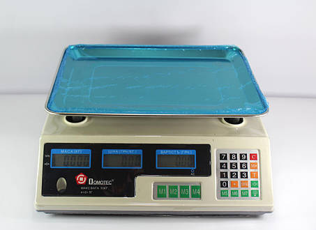 Ваги ACS 50kg/5g MS 228 Domotec 6V, фото 1