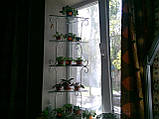 Підставка для квітів на 5 полиць, стелаж віконний "Яна-1", фото 2