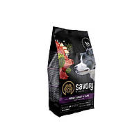 Сухой корм Savory Medium для собак средних пород, со свежим ягненком и индейкой, 3 кг