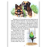 Читаю сам Пригоди Шерлока Авт: Городецька Т. Вид: Белкар, фото 3