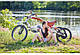 Електровелосипед Электротрайк Ecotrike, фото 10