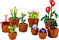 Lego Botanicals Мініатюрні рослини 10329, фото 4