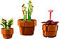 Lego Botanicals Мініатюрні рослини 10329, фото 7
