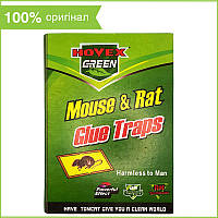 Клейова пастка-книжка для знищення гризунів (мишей і щурів) HOVEX GREEN (16,5*24 см, маленька)