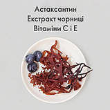 Комплекс «Астаксантин і екстракт чорниці», фото 2