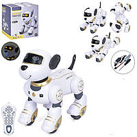 Интерактивная собака робот BG1533, ездит, танцует, трюки, программирование, USB зарядное