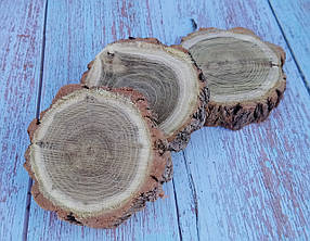 Зріз дерева для виробів, еко-дитячих іграшок, діаметр 10-12 см. 3шт.