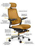 Комп'ютерне крісло Mealux Y-565 жовтогарячий, фото 2