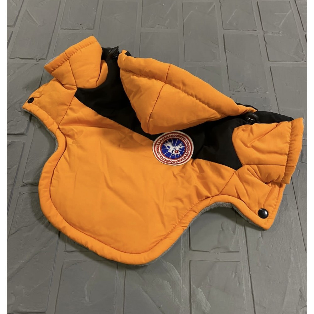 Зимова куртка для собак із капюшоном, чорна вставка на спинці, жовтогаряча