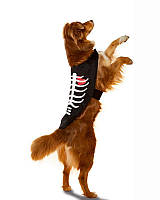 Костюм для собак Скелет на Хелловін/HALLOWEEN LIDL L, накидка скелет собаки