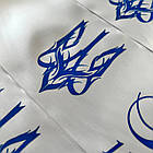 Біла Стрічка на випускний "Випускник 2026", фото 3