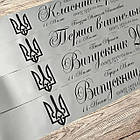 Срібна Стрічка на випускний "Випускник 2026", фото 2