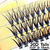 Пучкові вії Nesura Eyelash Tails 30D, 0,07, D, 15 мм, 60 пучків Несура, фото 2