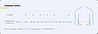 Бандаж післяопераційний Ersamed, фото 2