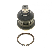 Опора шаровая передняя нижняя Renault Megane II/Scenic 02- (d=16mm) 8200255760 SOLGY 203047