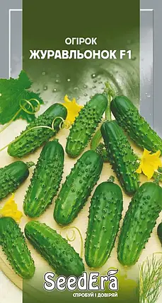 Насіння огірка Журавльонок F1, 0,5 г SeedEra, фото 1