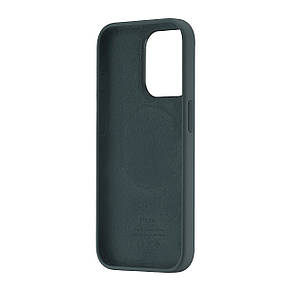 Чохол Silicone Case with MagSafe & SplashScreen iPhone 15 Pro Cypress, фото 4