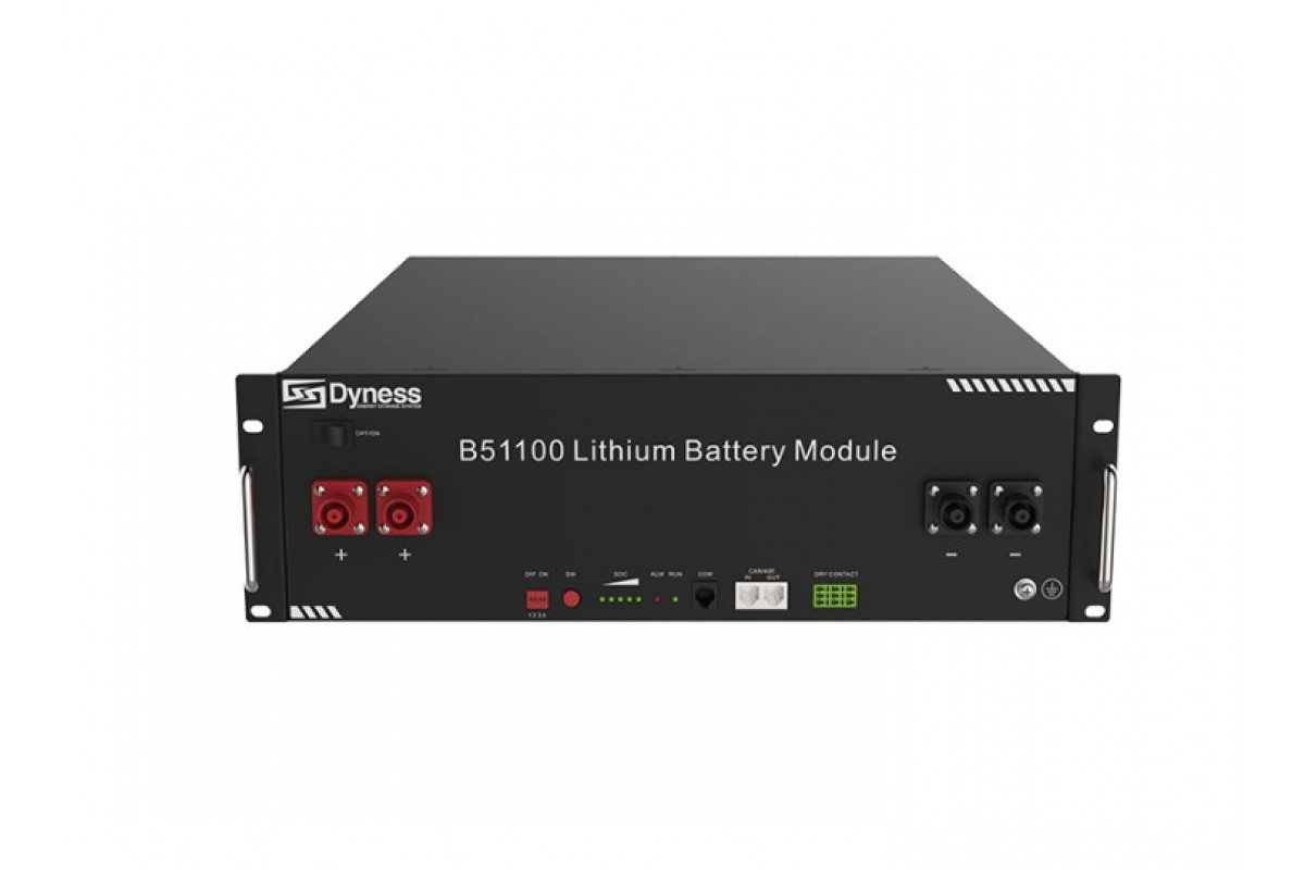 Акумулятор Dyness B51100, фото 1