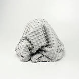 Лоскуток. Плюш Minky світло-сірого кольору 350 г/м2, 46*160  см, фото 6