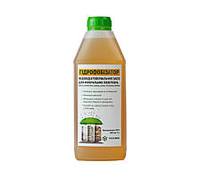 Гідрофобізатор для мінеральних поверхонь (концентрат 20:1, 1 л) YOCHEM