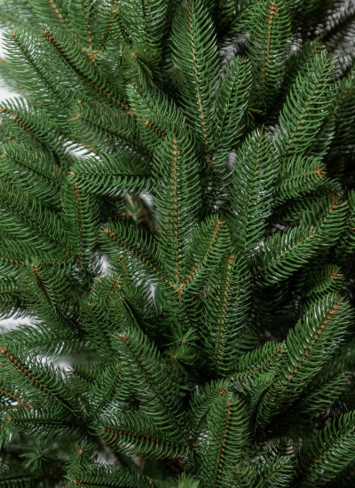 Новогодняя искусственная елка 0.9 метра лапландськая в горшке, елка искусственная натуральная зеленая 90 см - фото 6 - id-p2012030293