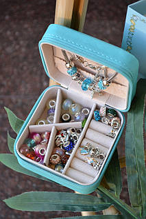 Набір прикрас FT 2026 F з органайзером