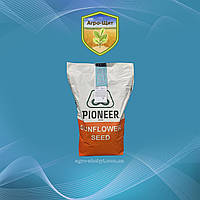 Насіння соняшника Піонер ЛЕ 25 під Гранстар