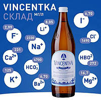 Мінеральна лікувальна вода Вінцентка Vincentka Чехія 0,7л йодована гідрокарбонатно-хлоридно-натрієва