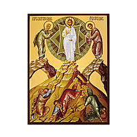 Ікона Преображення Ісуса Христа (Господнє) 14 Х 19 см