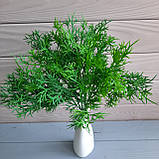 Гілочка хвойна дрібна зелена, фото 2