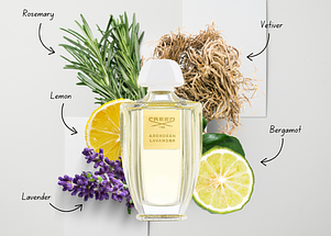 Creed Acqua Originale Aberdeen Lavender парфумована вода 100 ml. (Крид Аква Оригінал Абердин Лаванда), фото 4