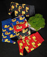 Подарунковий набір шкарпеток «Качечки» 3 пари