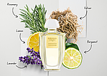 Creed Acqua Originale Aberdeen Lavender парфумована вода 100 ml. (Крид Аква Оригінал Абердин Лаванда), фото 4