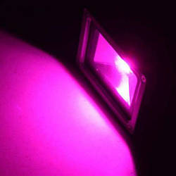 Світильники для теплиць і рослин