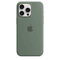 Чохол Silicone Case Premium з MagSafe для iPhone 15 Pro Max Cypress
