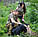Футболка Helikon-Tex® T-Shirt - Cotton - Legion® Forest, фото 9