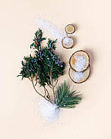 Makesy Аромамасло Holiday fir & crisp juniper / Праздничная ель и свежий можжевельник, 10 грамм для свечей