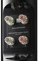 Акустична пара DALI Epicon 6 BLACK GLOSS, фото 5