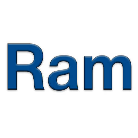 Ram