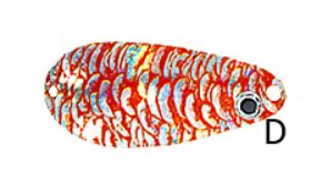 Блешня коливалка Jaxon Karas Krol 1 D вага 16 g, довжина 5,5 cm
