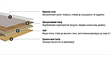 Ламінат Kastamonu KT701 Fix Price Oak 31 клас/7мм, фото 3