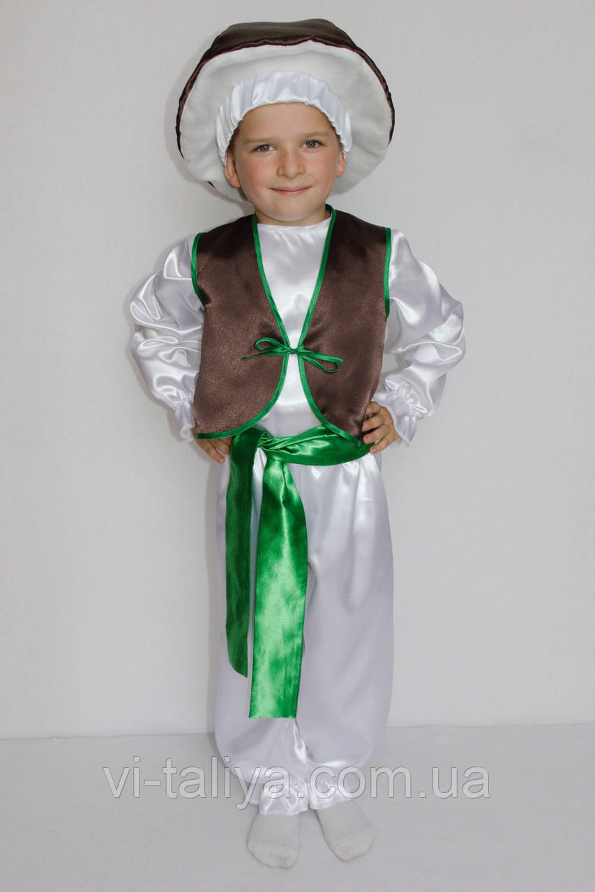 Карнавальный костюм для мальчика Гриб Боровик - фото 2 - id-p2012690511