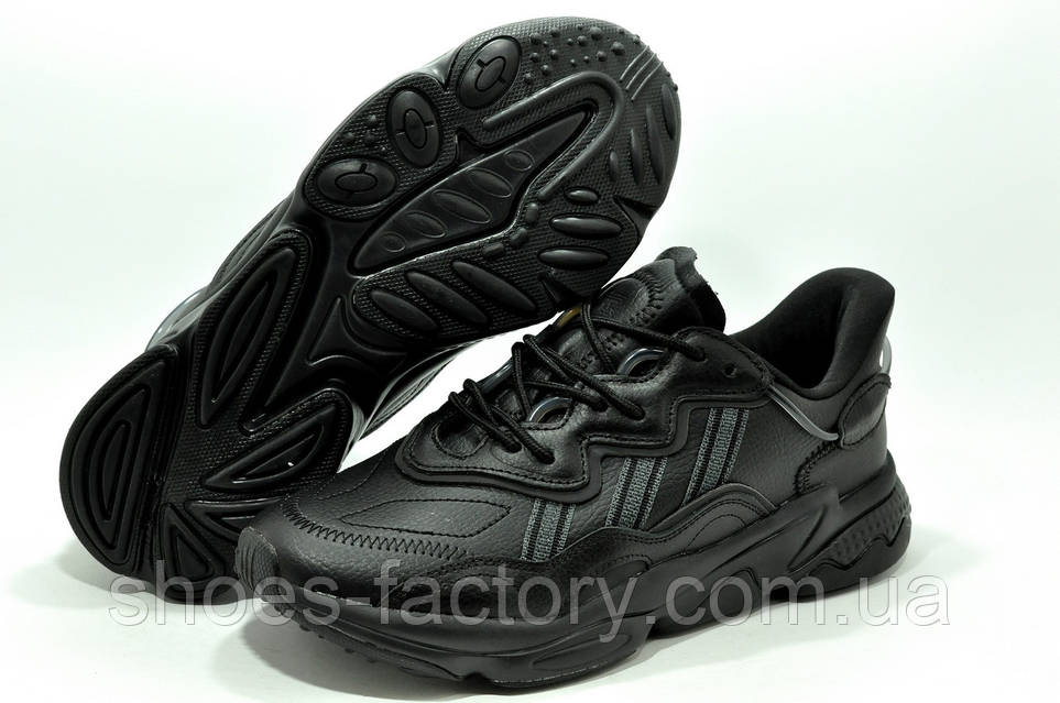 オウオウアシカ Amazon.co.jp: サンシャインシティ 水族館 オウオウアシカ パクパク