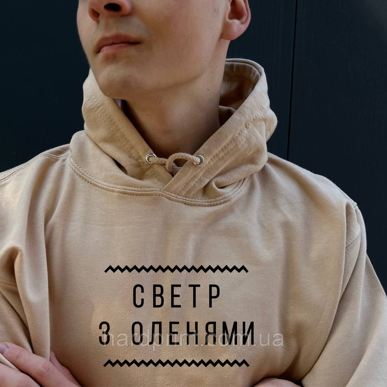 Худі. Толстовка з капюшоном. Кофта з капюшоном. Батник. Светр з оленями
