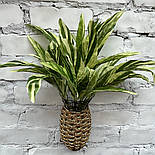 Штучний кущ декоративний драцена 50 см світла, фото 2